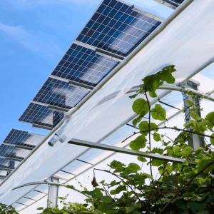 Impianti agrivoltaici